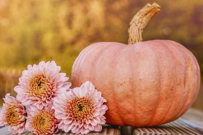 zucche e fiori per decorare_casa_in_autunno-