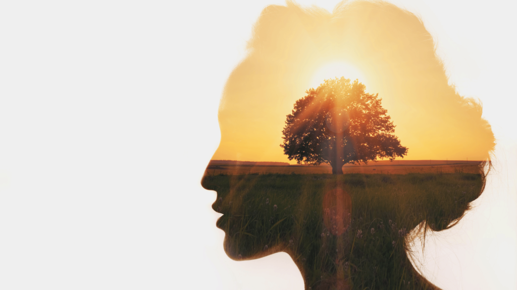 nella mente c'è un sole e un albero: fiorisce ogni cosa nella nostra mente con la crescita personale